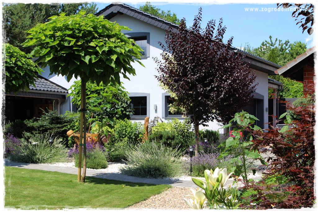 Jak sadzić krzewy z odkrytym korzeniem 13 Jak sadzić krzewy z odkrytym korzeniem 13