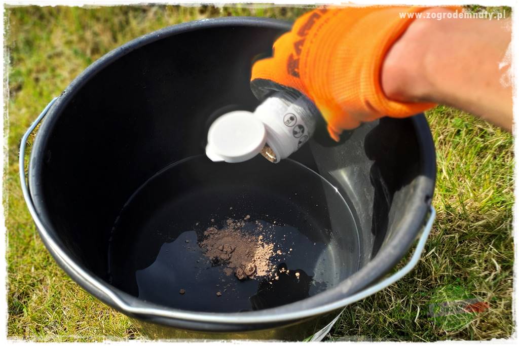 Jak sadzić krzewy z odkrytym korzeniem 23 Jak sadzić krzewy z odkrytym korzeniem 23