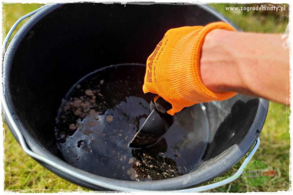 Jak sadzić krzewy z odkrytym korzeniem 24 Jak sadzić krzewy z odkrytym korzeniem 24