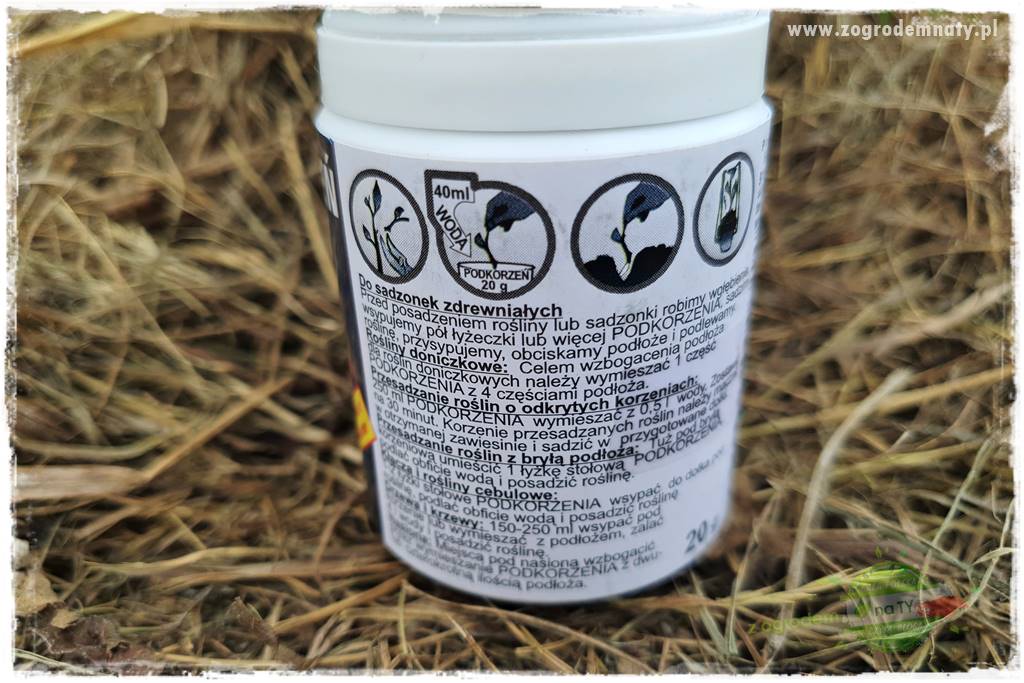 Jak sadzić krzewy z odkrytym korzeniem 44 Jak sadzić krzewy z odkrytym korzeniem 44