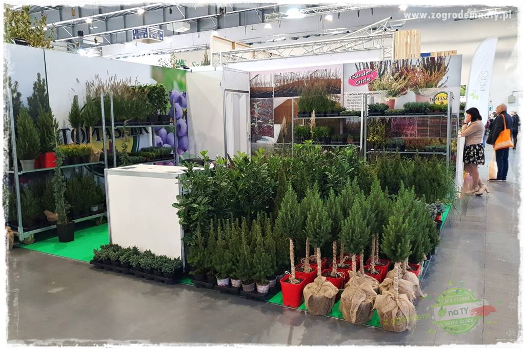 Jak sadzić krzewy z odkrytym korzeniem 8 Jak sadzić krzewy z odkrytym korzeniem 8