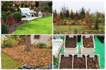 Naturalne ściółki organiczne 0