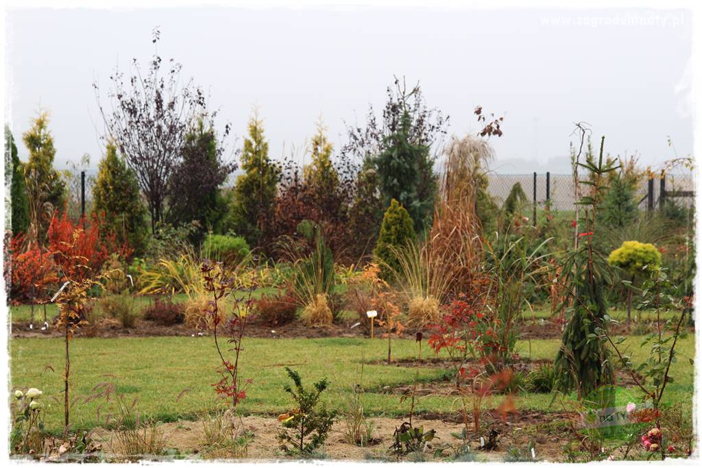 Naturalne ściółki organiczne 10