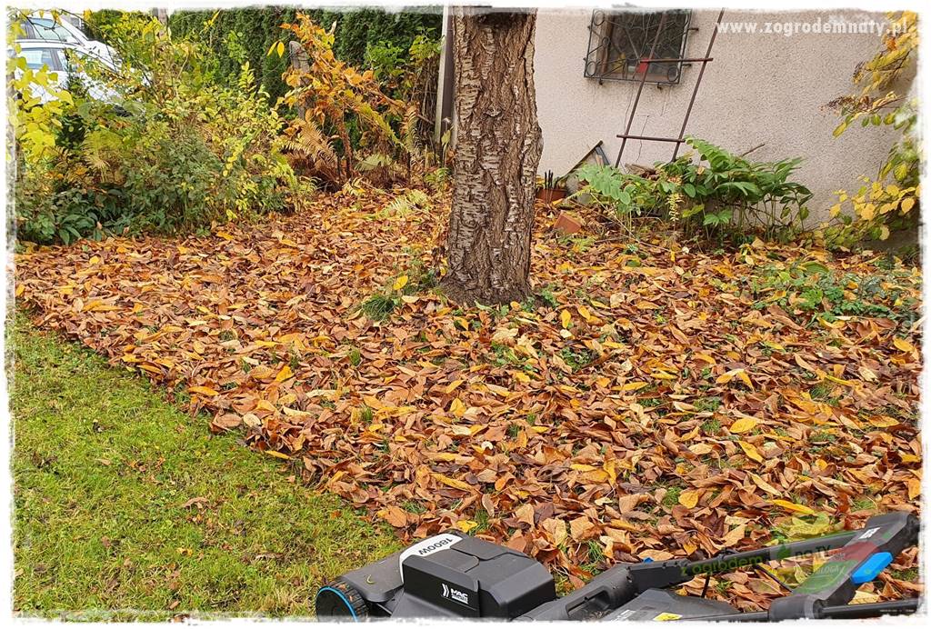 Naturalne ściółki organiczne 12