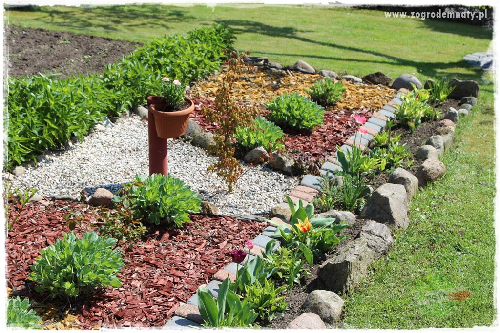 Naturalne ściółki organiczne 14