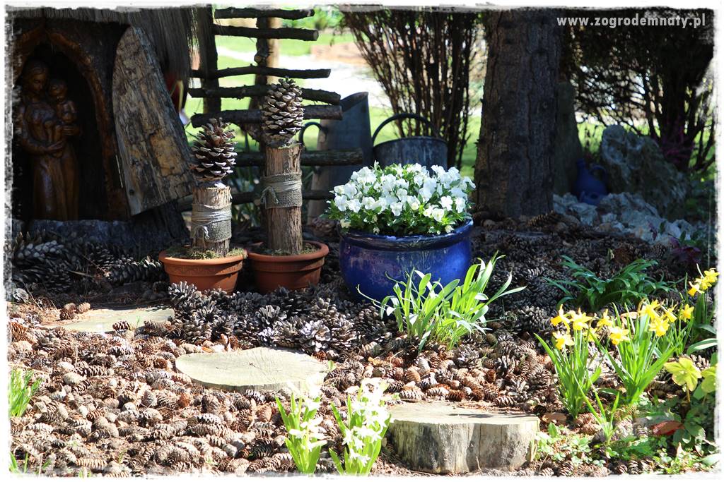 Naturalne ściółki organiczne 16