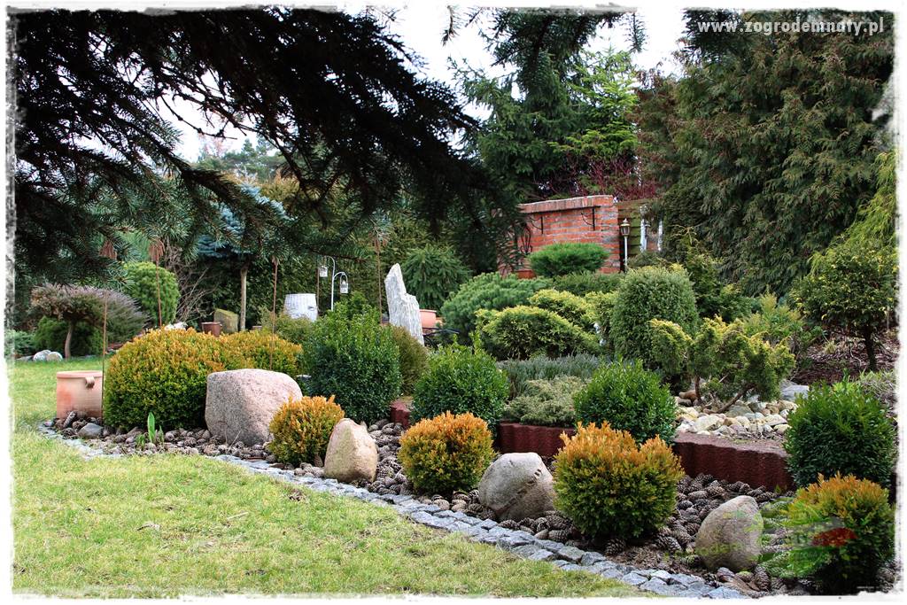 Naturalne ściółki organiczne 17