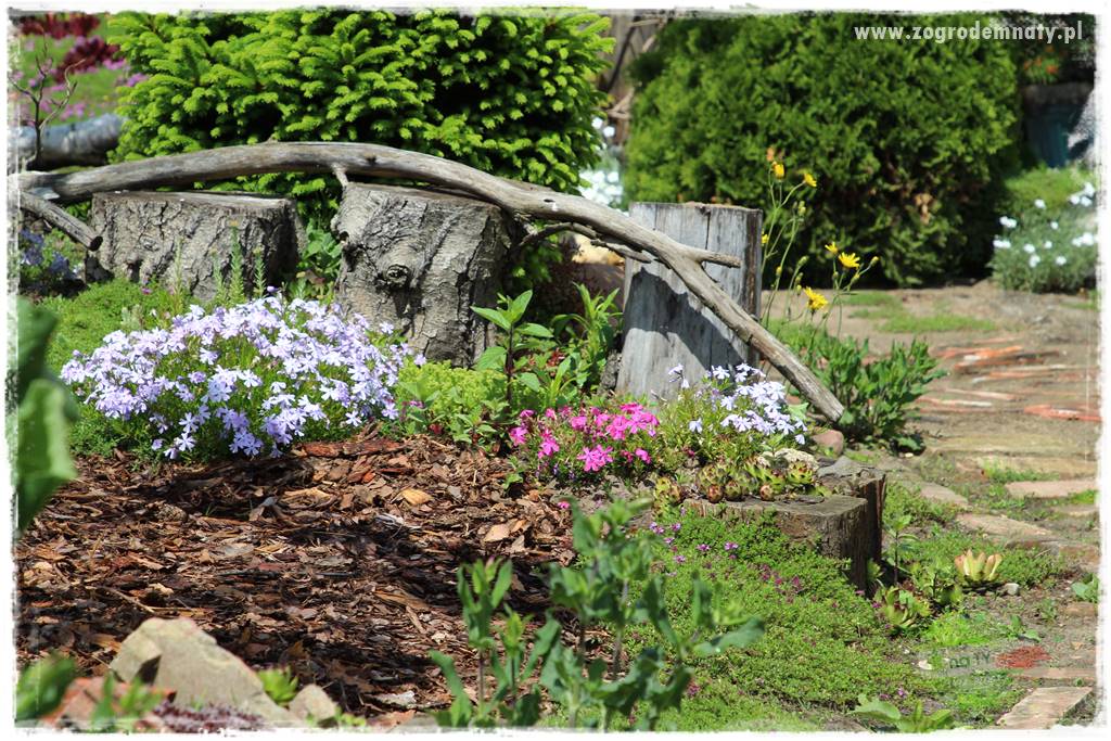 Naturalne ściółki organiczne 19