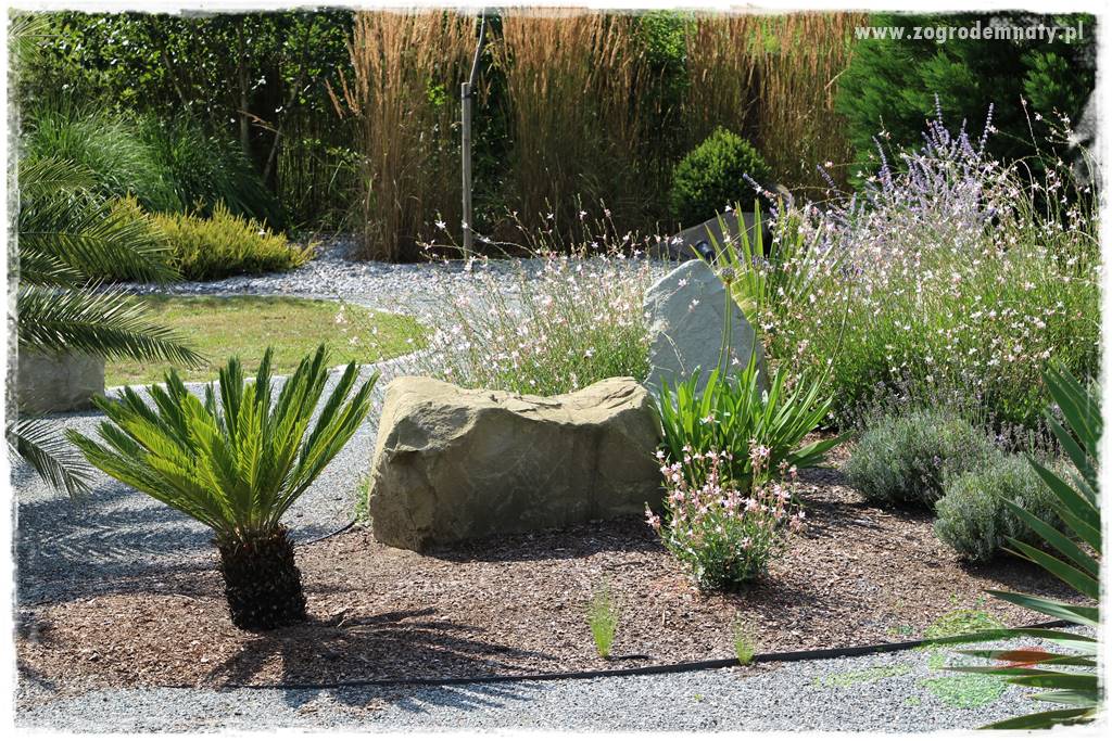 Naturalne ściółki organiczne 4