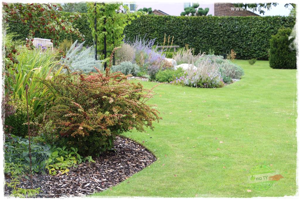 Naturalne ściółki organiczne 5