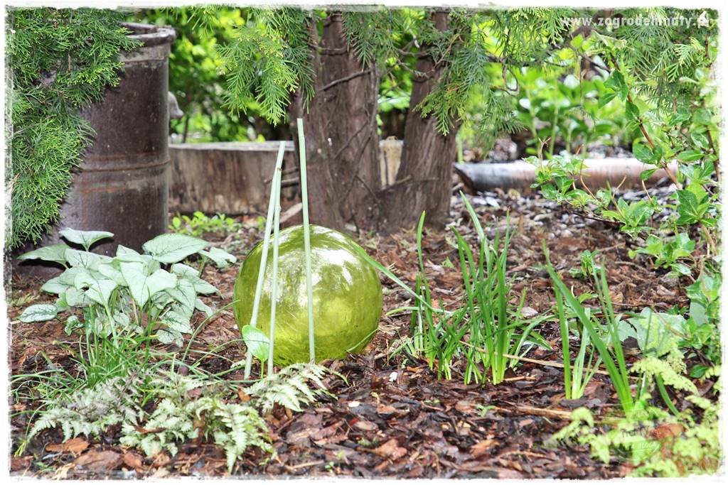 Naturalne ściółki organiczne 8