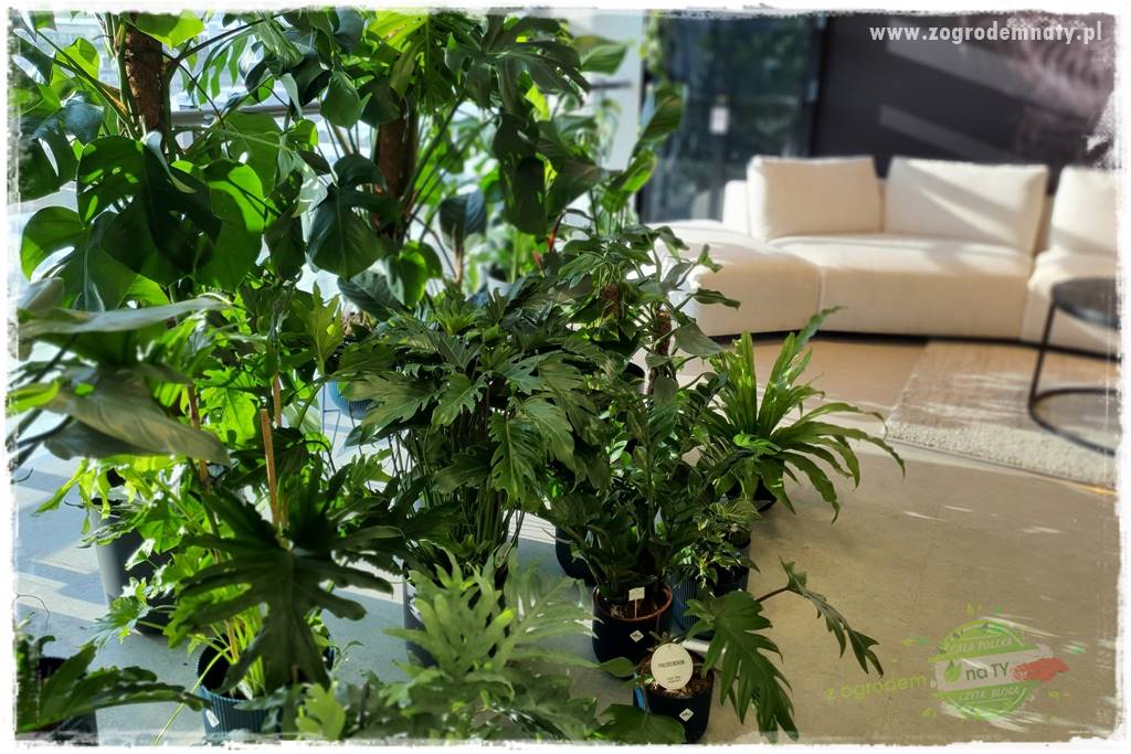 Nawóz ekologiczny 10 Nawóz ekologiczny 10