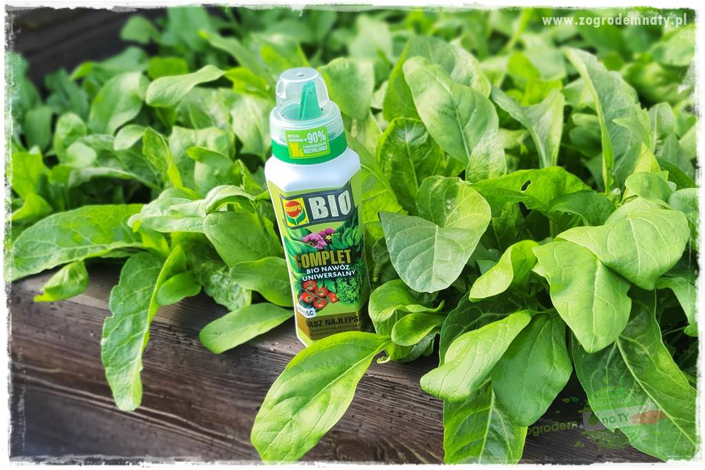 Nawóz ekologiczny 20