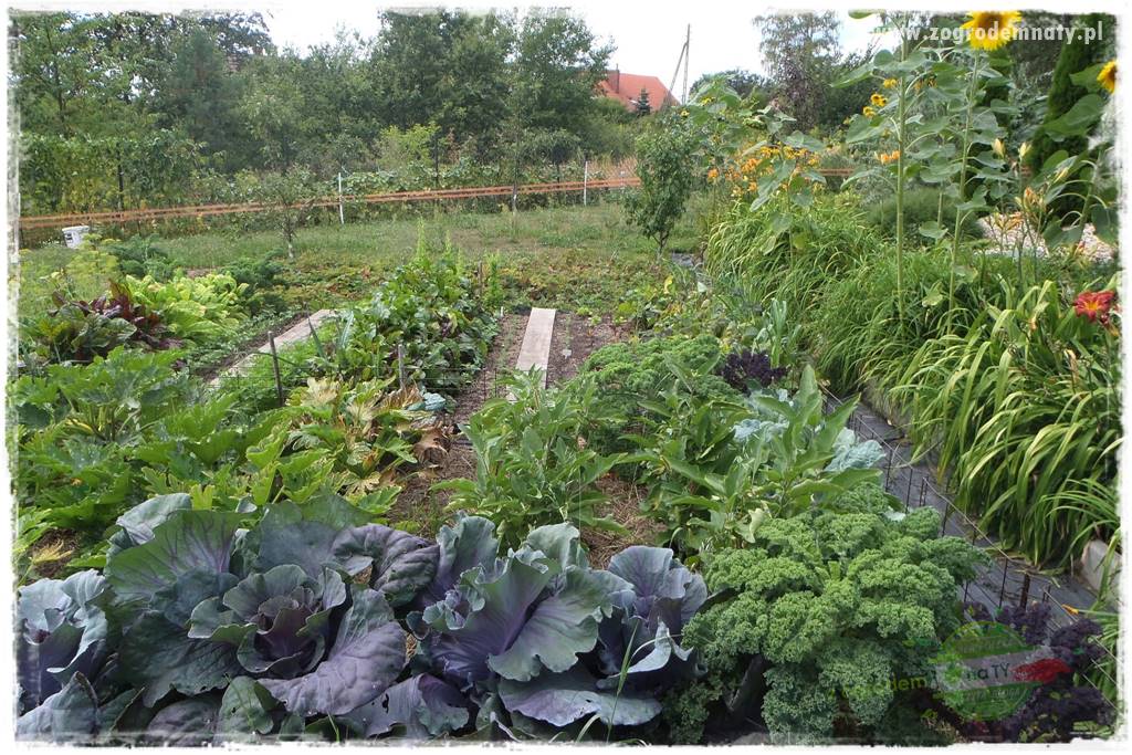 Nawóz ekologiczny 21