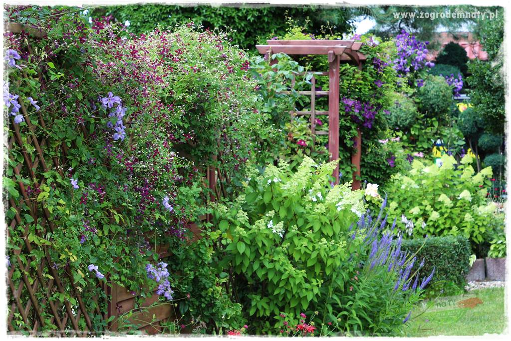 Nawóz ekologiczny 24