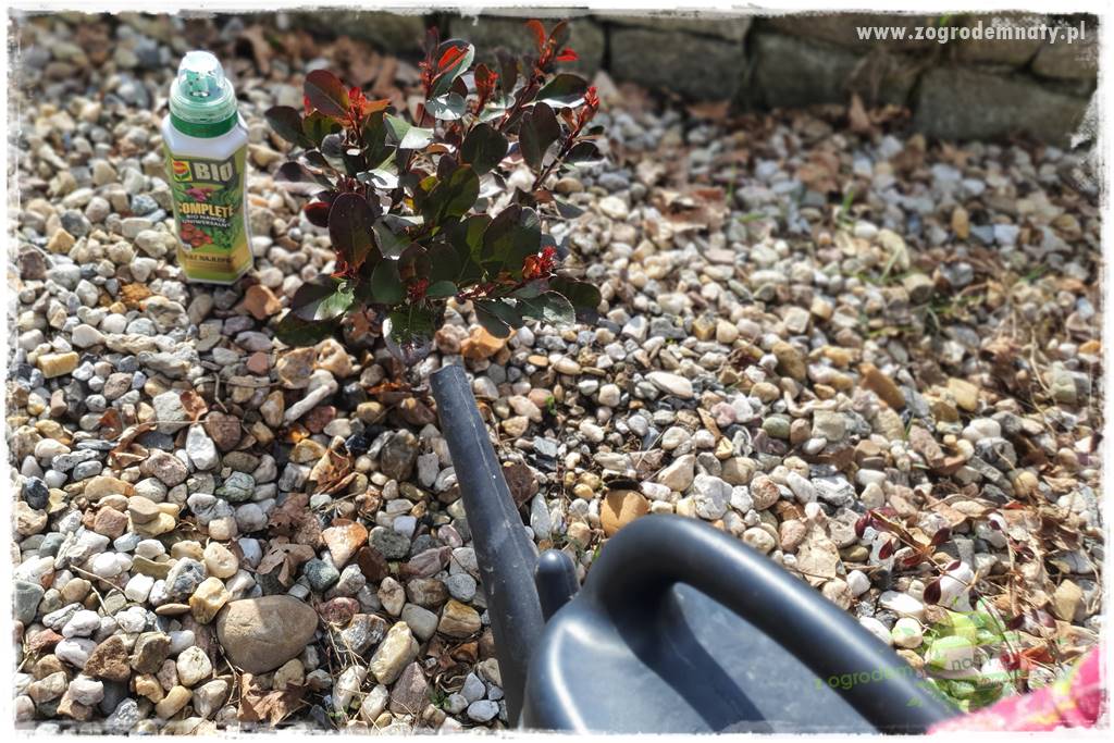 Nawóz ekologiczny 29