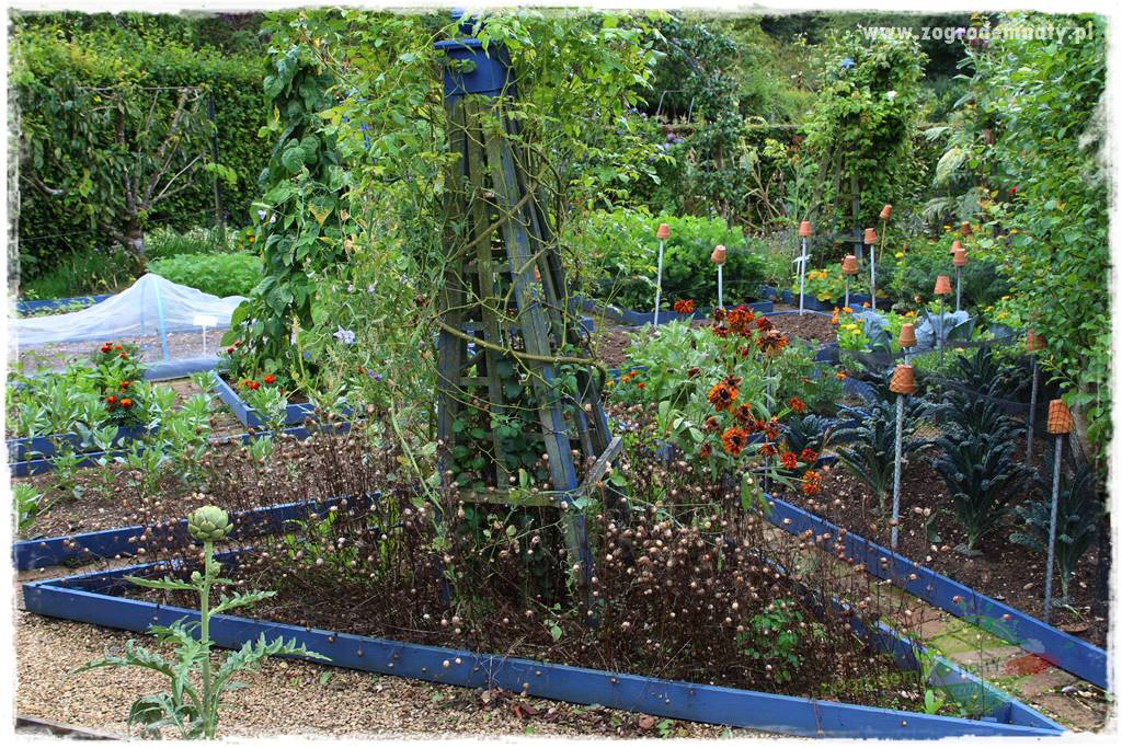 Nawóz ekologiczny 4