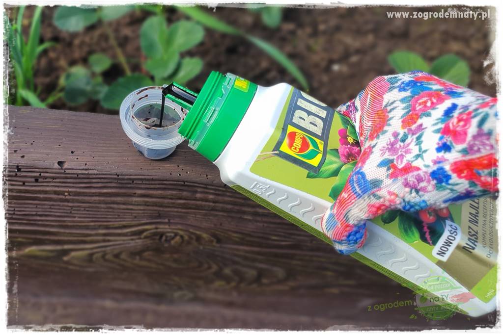 Nawóz ekologiczny 41 Nawóz ekologiczny 41