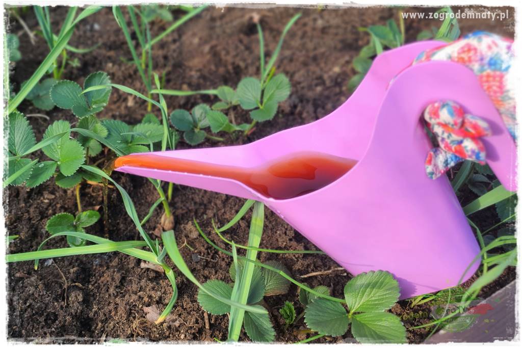 Nawóz ekologiczny 44 Nawóz ekologiczny 44