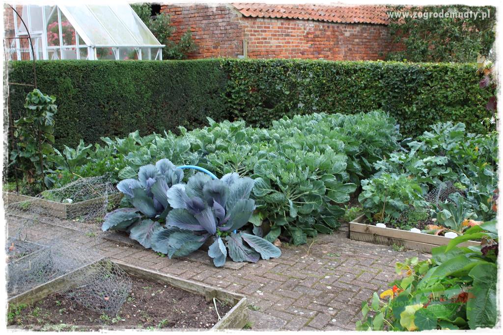 Nawóz ekologiczny 5