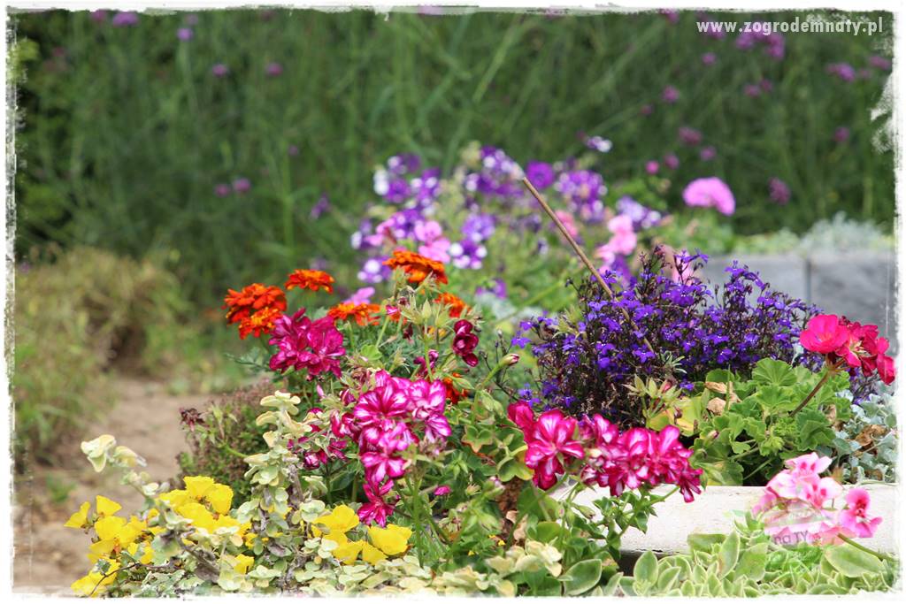 Nawóz ekologiczny 6