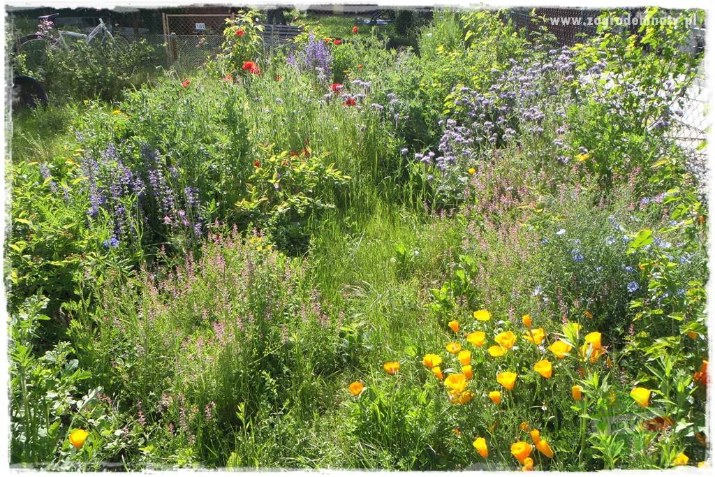 Nawóz ekologiczny 7