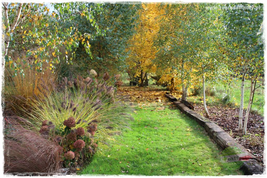 Nawóz ekologiczny 8 Nawóz ekologiczny 8