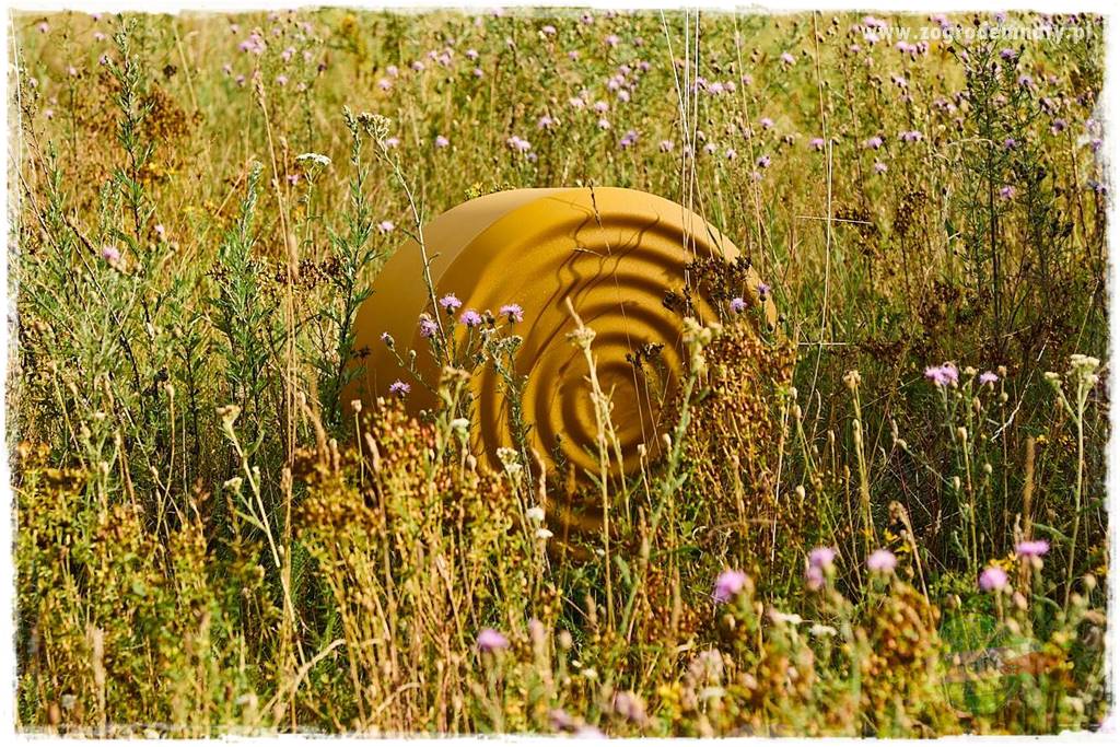 Nowoczesne meble tarasowe 6