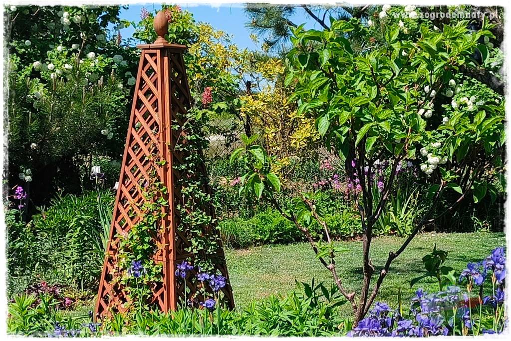 Ogród w stylu rustykalnym 122