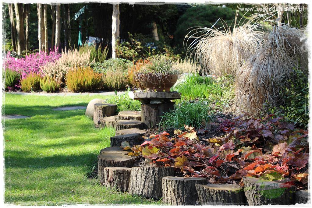 Ogród w stylu rustykalnym 2 Ogród w stylu rustykalnym 2