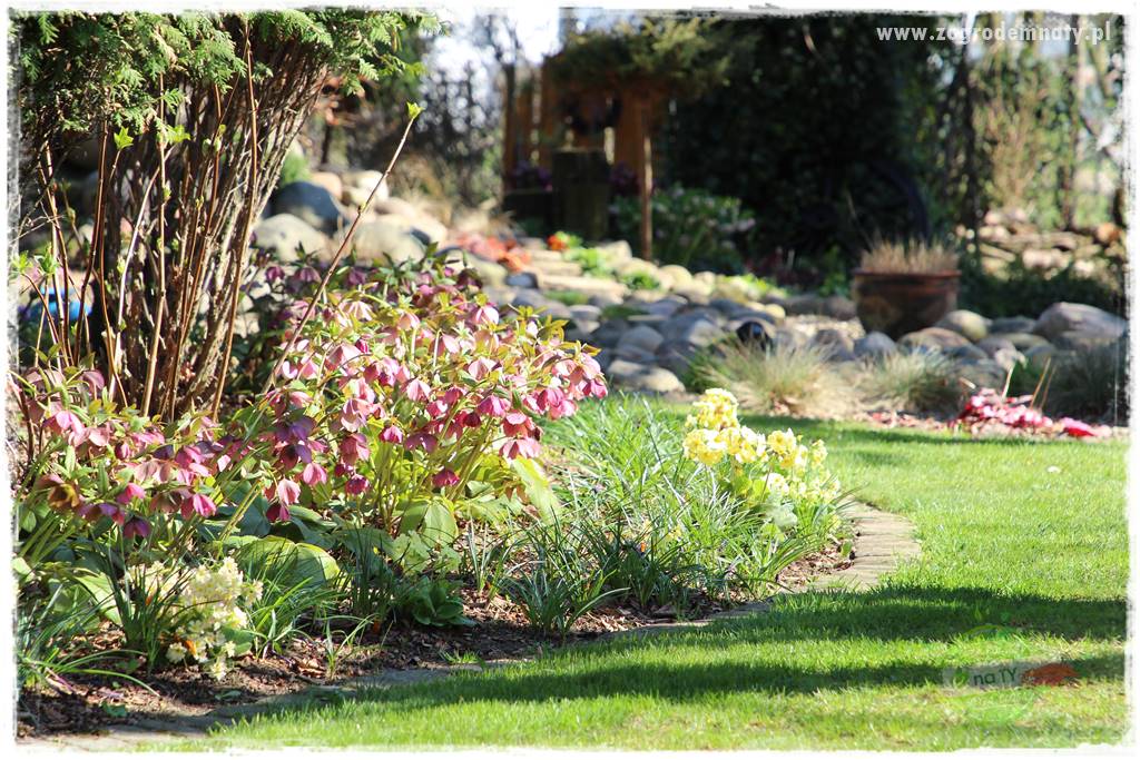 Ogród w stylu rustykalnym 307 Ogród w stylu rustykalnym 307