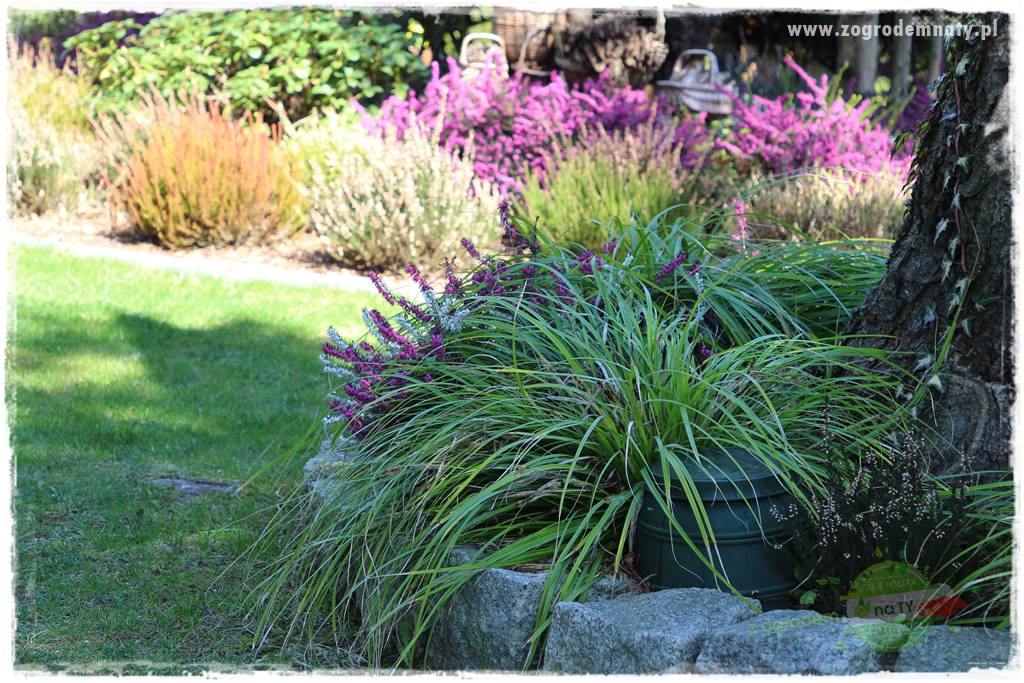 Ogród w stylu rustykalnym 312 Ogród w stylu rustykalnym 312