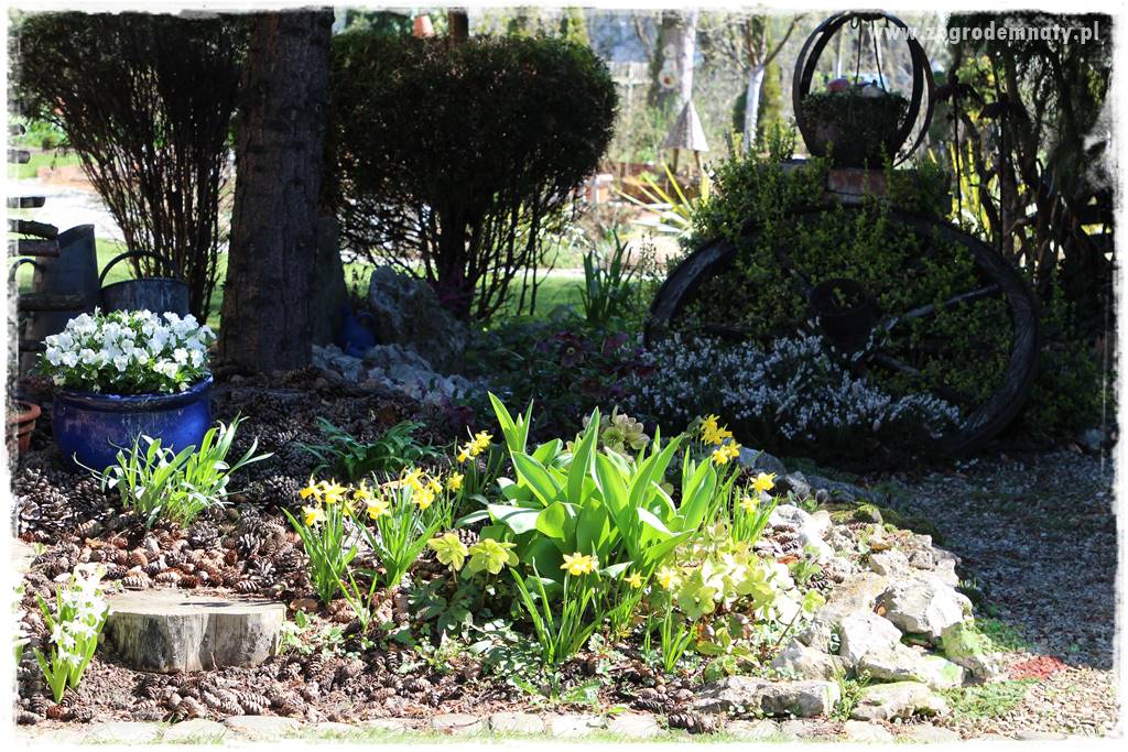 Ogród w stylu rustykalnym 320 Ogród w stylu rustykalnym 320