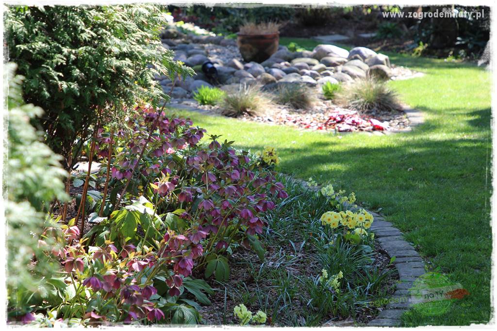 Ogród w stylu rustykalnym 325 Ogród w stylu rustykalnym 325