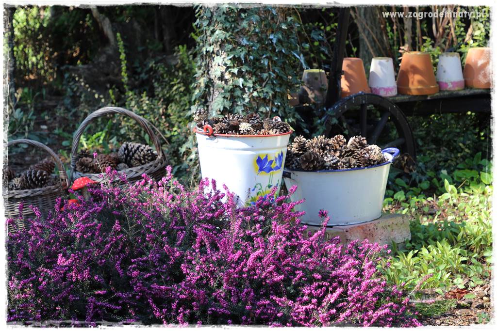 Ogród w stylu rustykalnym 326 Ogród w stylu rustykalnym 326