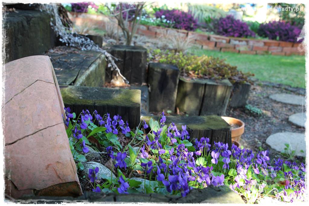 Ogród w stylu rustykalnym 34 Ogród w stylu rustykalnym 34