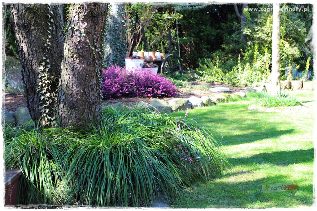 Ogród w stylu rustykalnym 37 Ogród w stylu rustykalnym 37