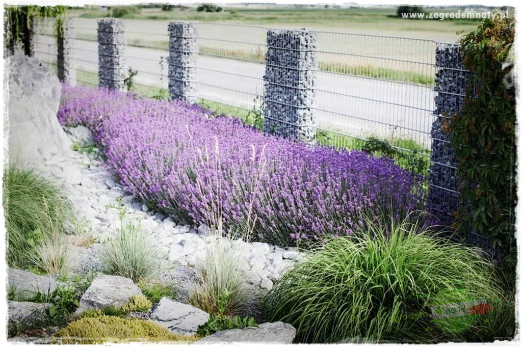 gabiony w ogrodzie 12 gabiony w ogrodzie 12