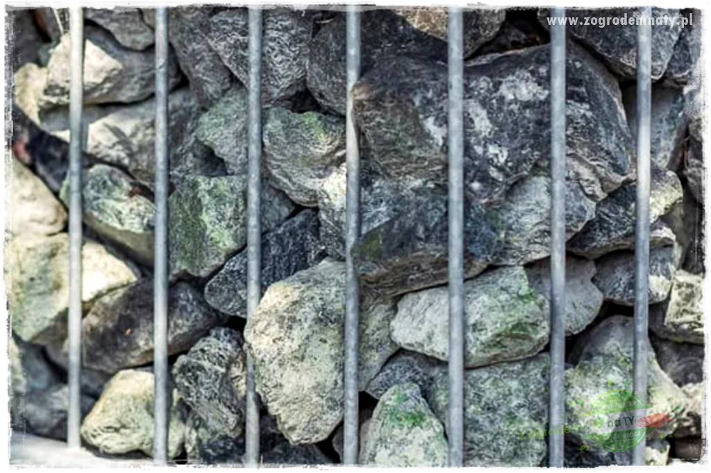 gabiony w ogrodzie 22 gabiony w ogrodzie 22