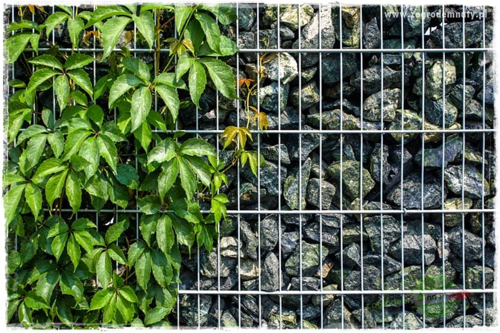 gabiony w ogrodzie 32 gabiony w ogrodzie 32