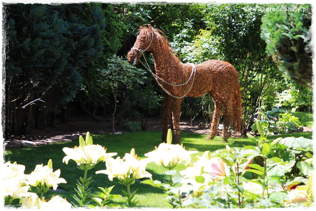 gadżety do ogrodu 10 gadżety do ogrodu 10