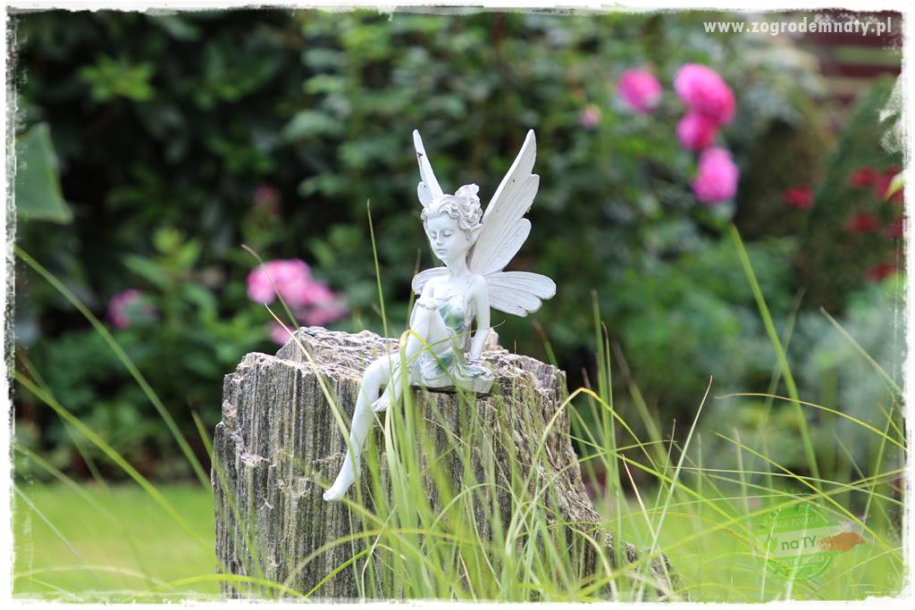 gadżety do ogrodu 11 gadżety do ogrodu 11