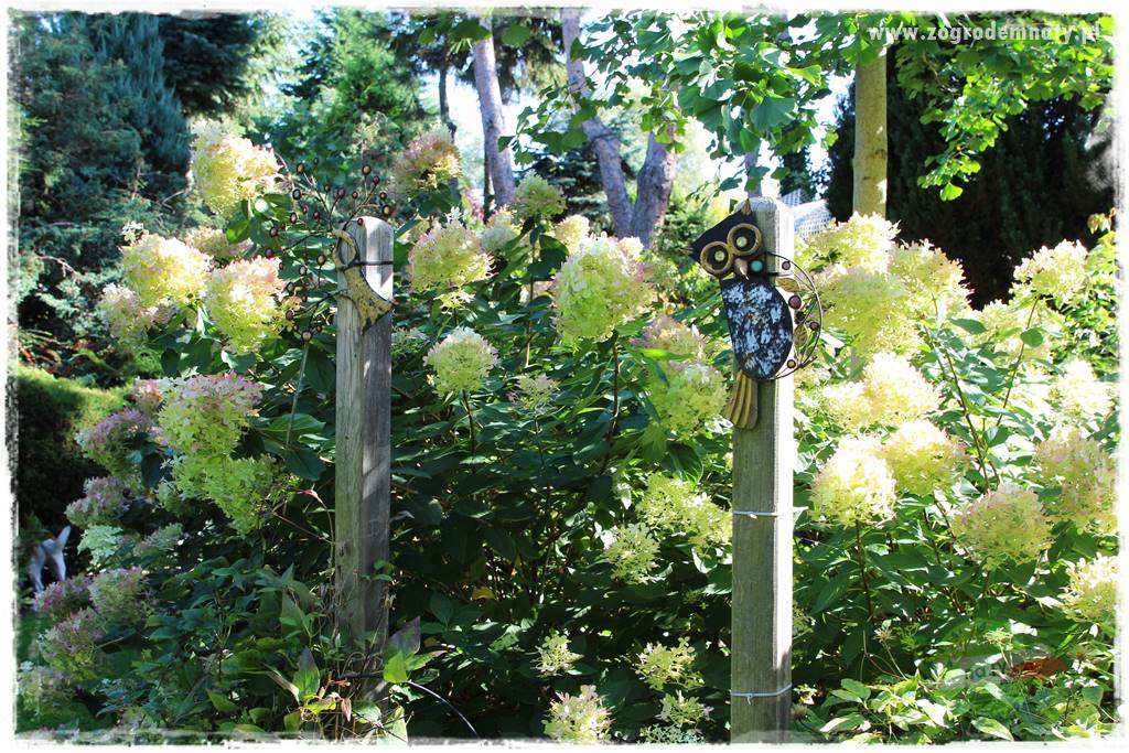 gadżety do ogrodu 12 gadżety do ogrodu 12