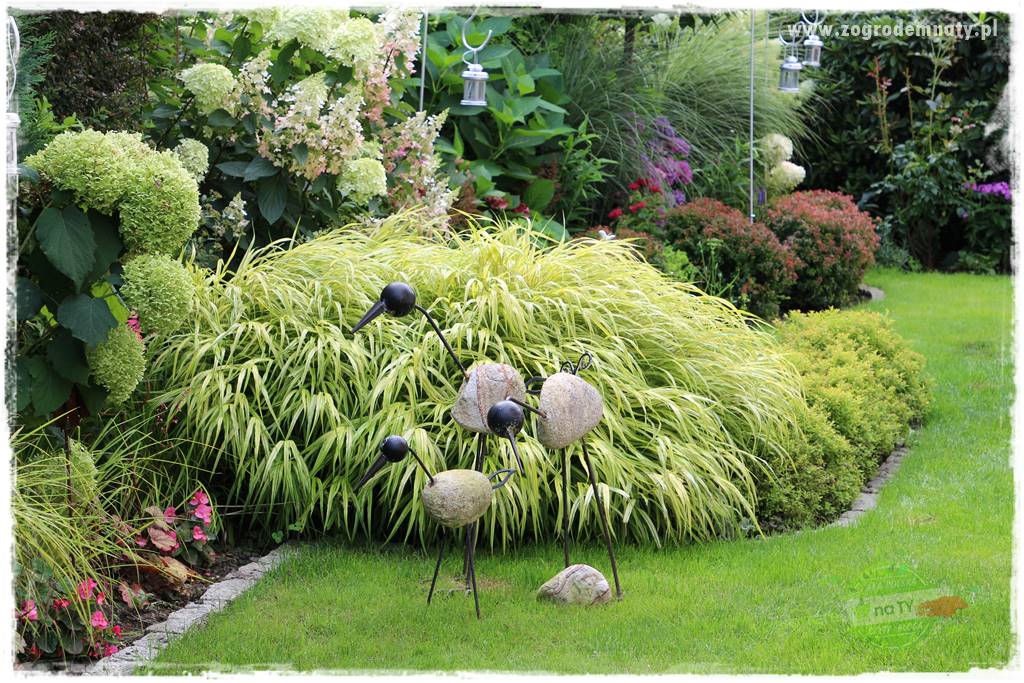 gadżety do ogrodu 13 gadżety do ogrodu 13