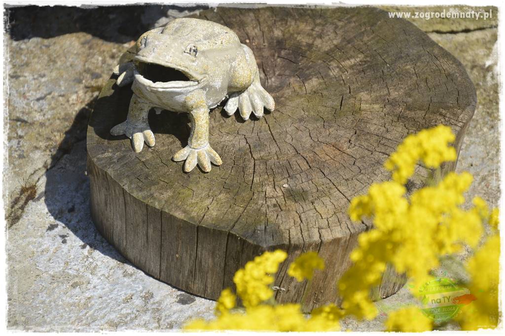 gadżety do ogrodu 14 gadżety do ogrodu 14