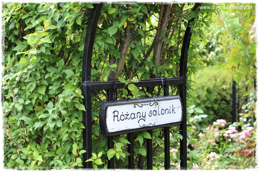 gadżety do ogrodu 16 gadżety do ogrodu 16