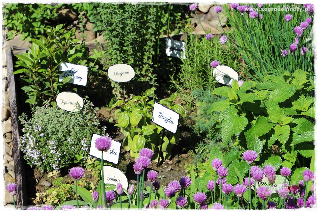 gadżety do ogrodu 23 gadżety do ogrodu 23