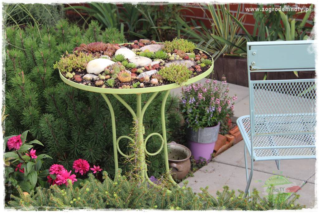 gadżety do ogrodu 27 gadżety do ogrodu 27