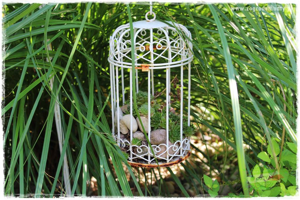 gadżety do ogrodu 35 gadżety do ogrodu 35