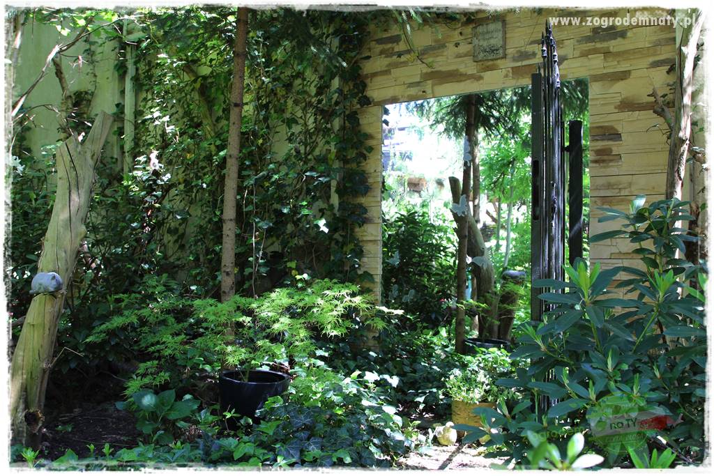 gadżety do ogrodu 36 gadżety do ogrodu 36